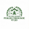 Logo of Christmas Fair 2020