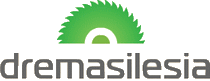 Logo of DREMA SILESIA Apr. 2026