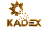 Logo of KADEX 2024