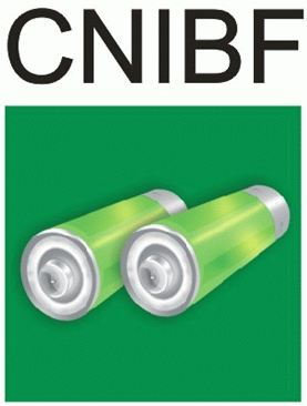 Logo of CNIBF 2013