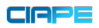 Logo of China International Auto Products Expo 2019