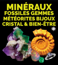 Logo of SALON MINERALEVENT Feb. 2025