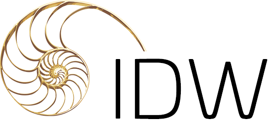 Logo of IDW - Downstream Conference (2024)