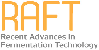 Logo of RAFT 16 2025