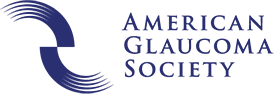 Logo of AGS Annual Meeting 2024