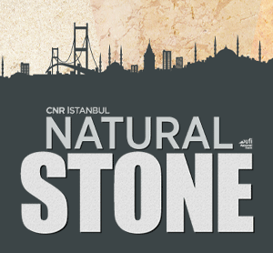 Logo of Natural Stone 2013