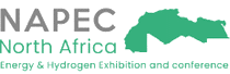 Logo of NAPEC Nov. 2023