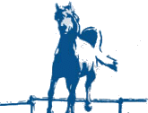 Logo of HANSEPFERD HAMBURG Apr. 2026