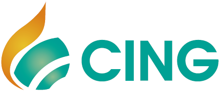 Logo of CING 2025