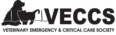 Logo of IVECC Spring Symposium 2023