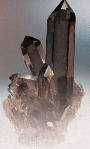 Logo of BERNER FOSSILIEN- UND MINERALIENBÖRSE 2022